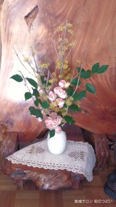 サロン写真2016年3月