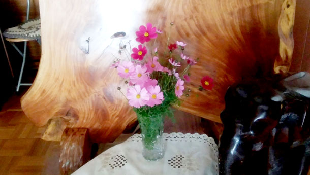 2016年10月地域サロン花のつどい