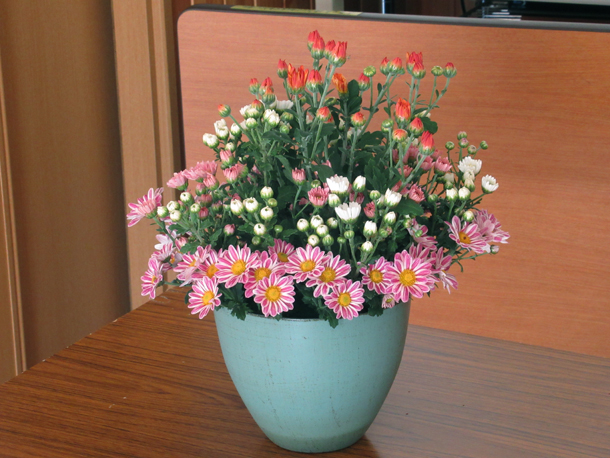 2018年10月地域サロン花のつどい